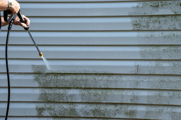 Professional Junk Removal in Breaux Bridge, LA